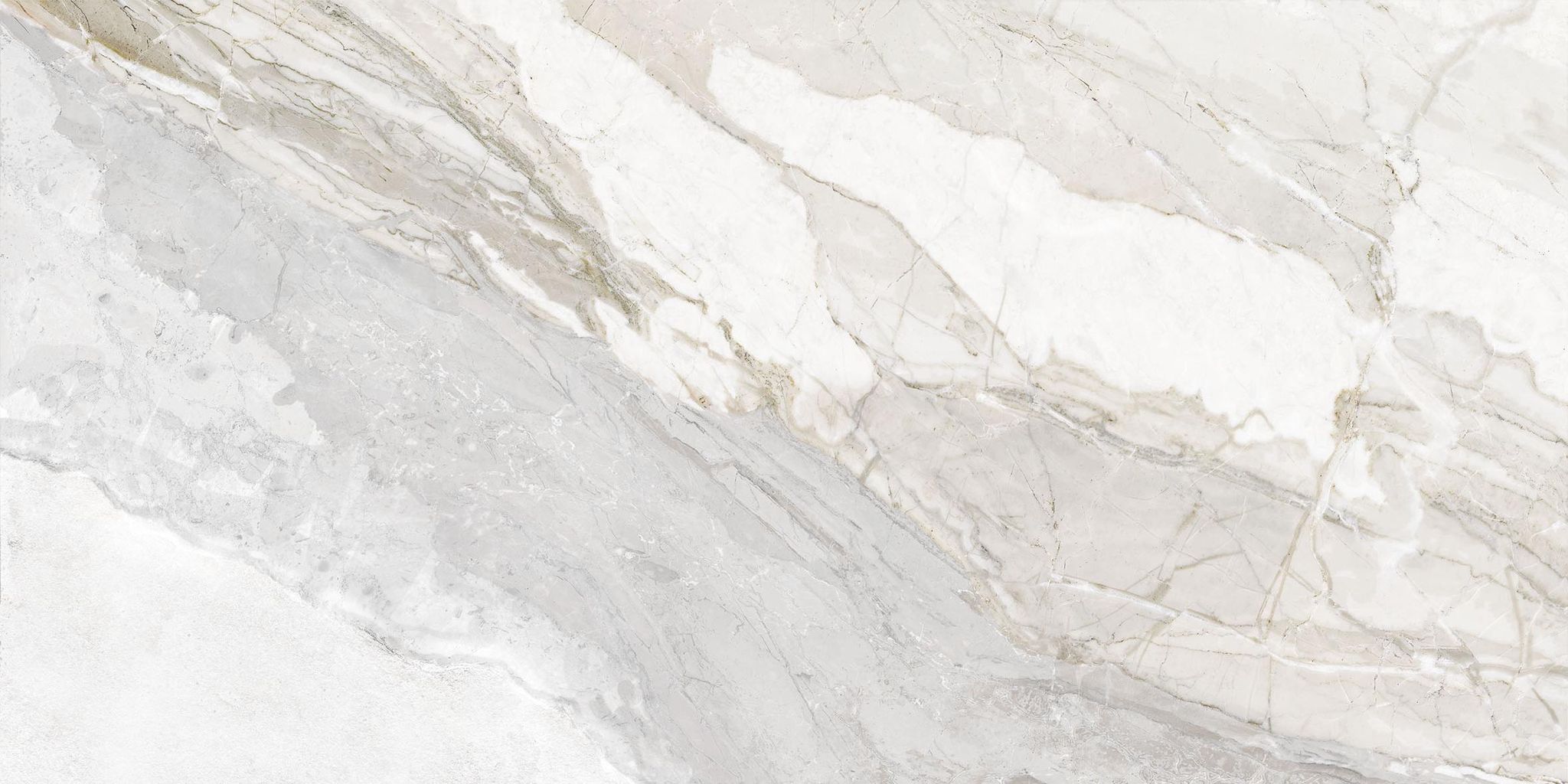 Dynasty White 12X24 | Aromaz Home