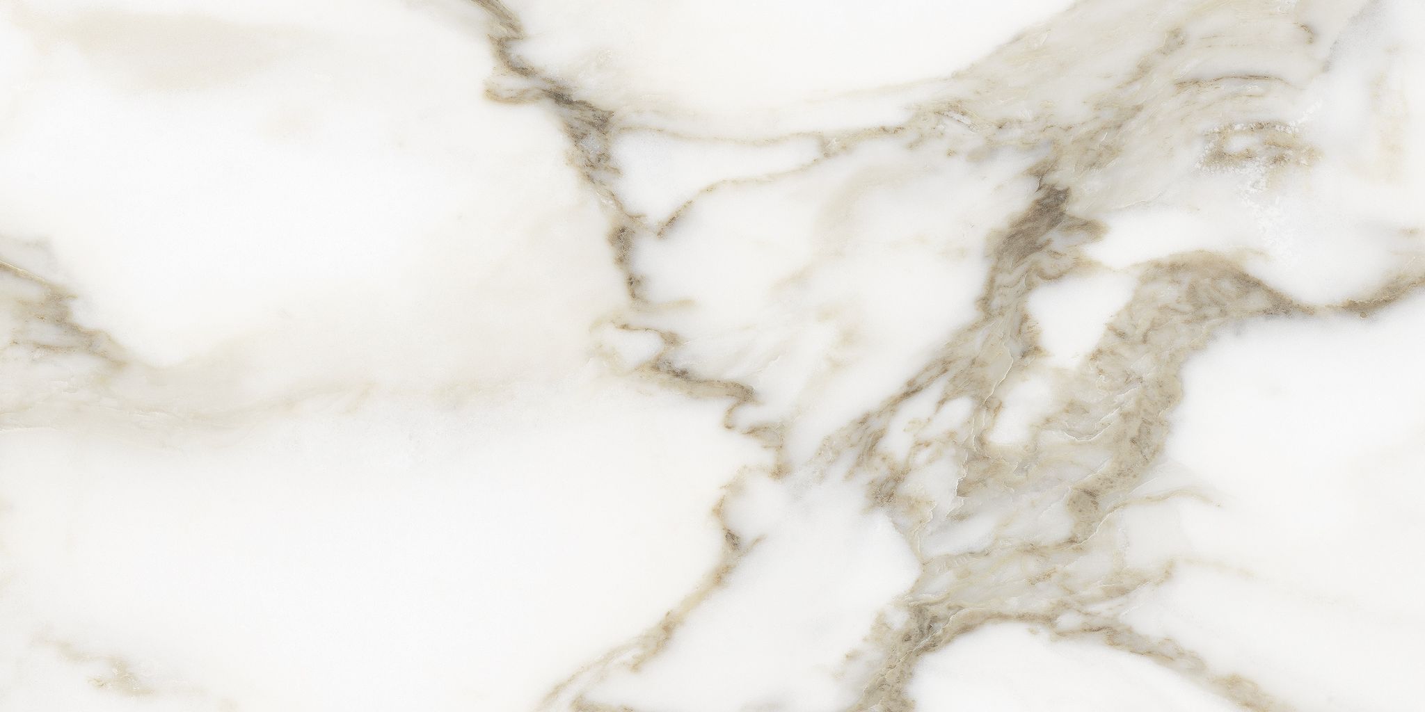 Florence 12X24F Calacatta Matte | Aromaz Home