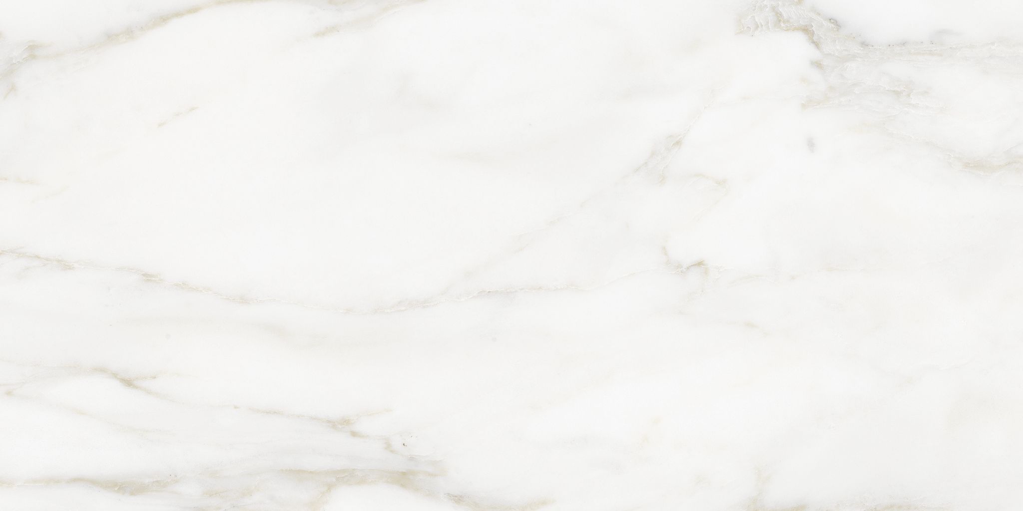 Florence 12X24F Calacatta Texture | Aromaz Home