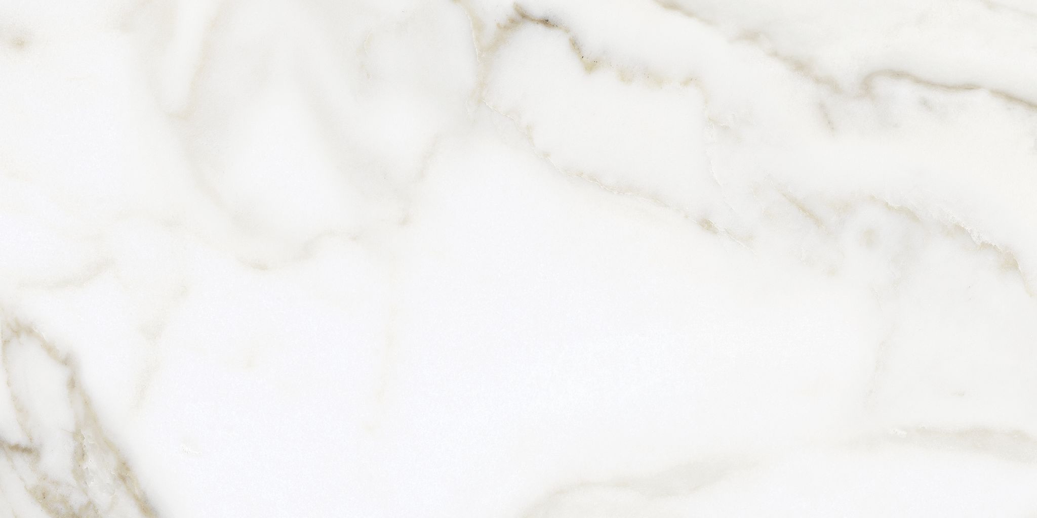 Florence 12X24F Calacatta Texture | Aromaz Home