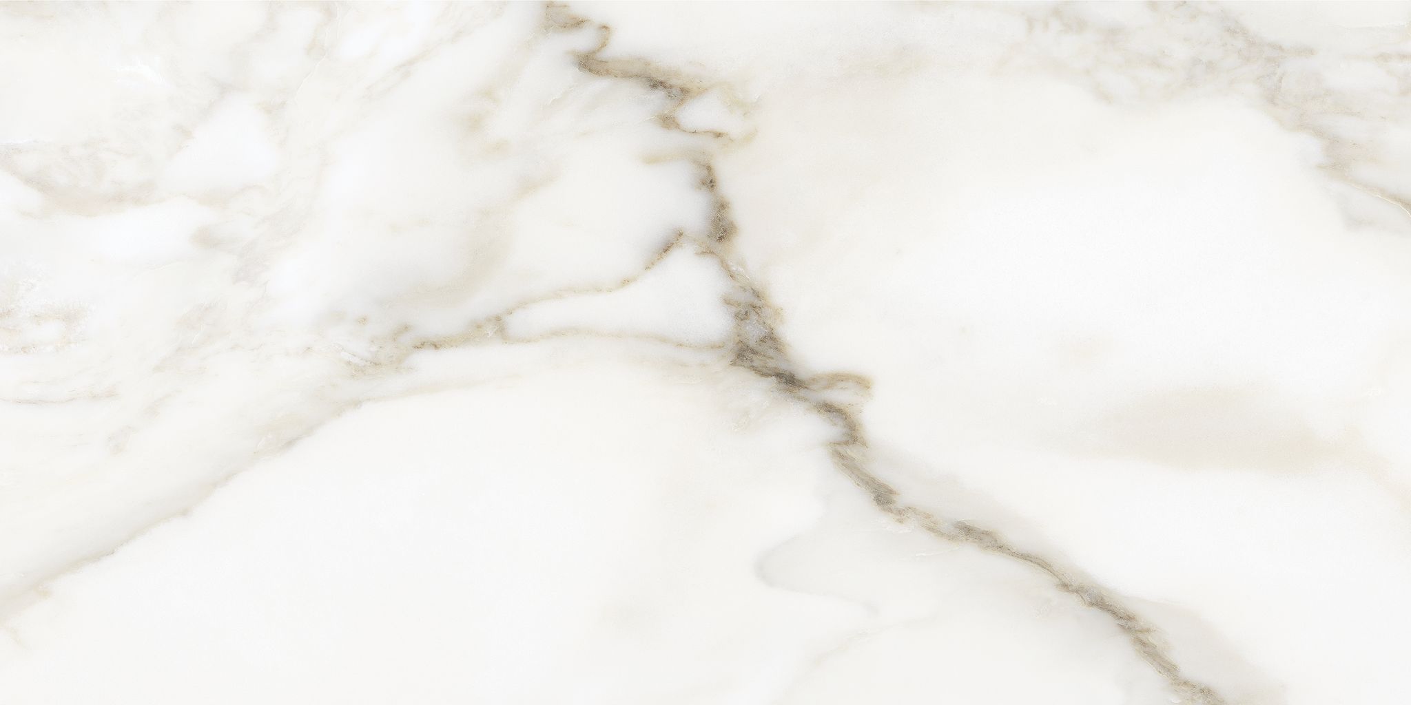 Florence 12X24F Calacatta Texture | Aromaz Home