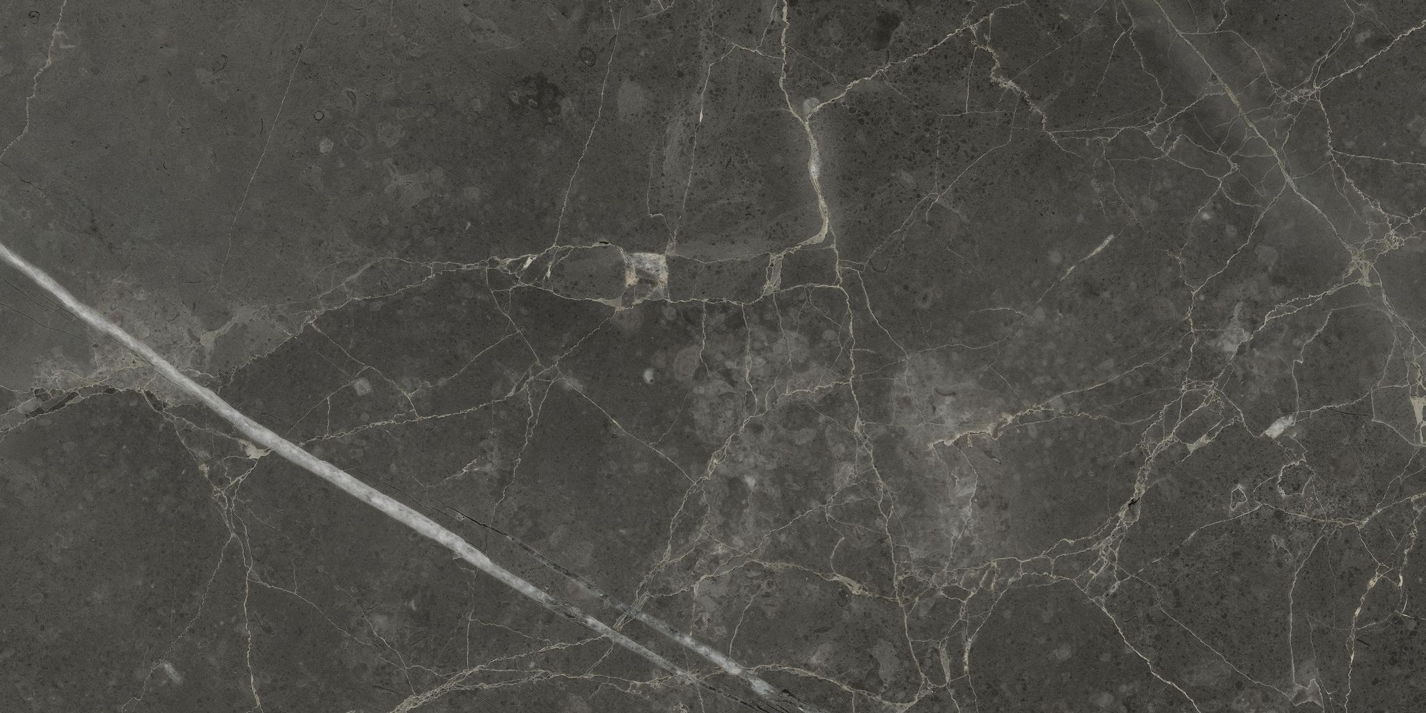 Florence 12X24F Carbon Matte | Aromaz Home