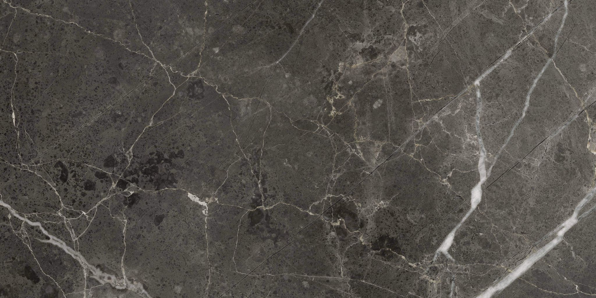 Florence 12X24F Carbon Matte | Aromaz Home