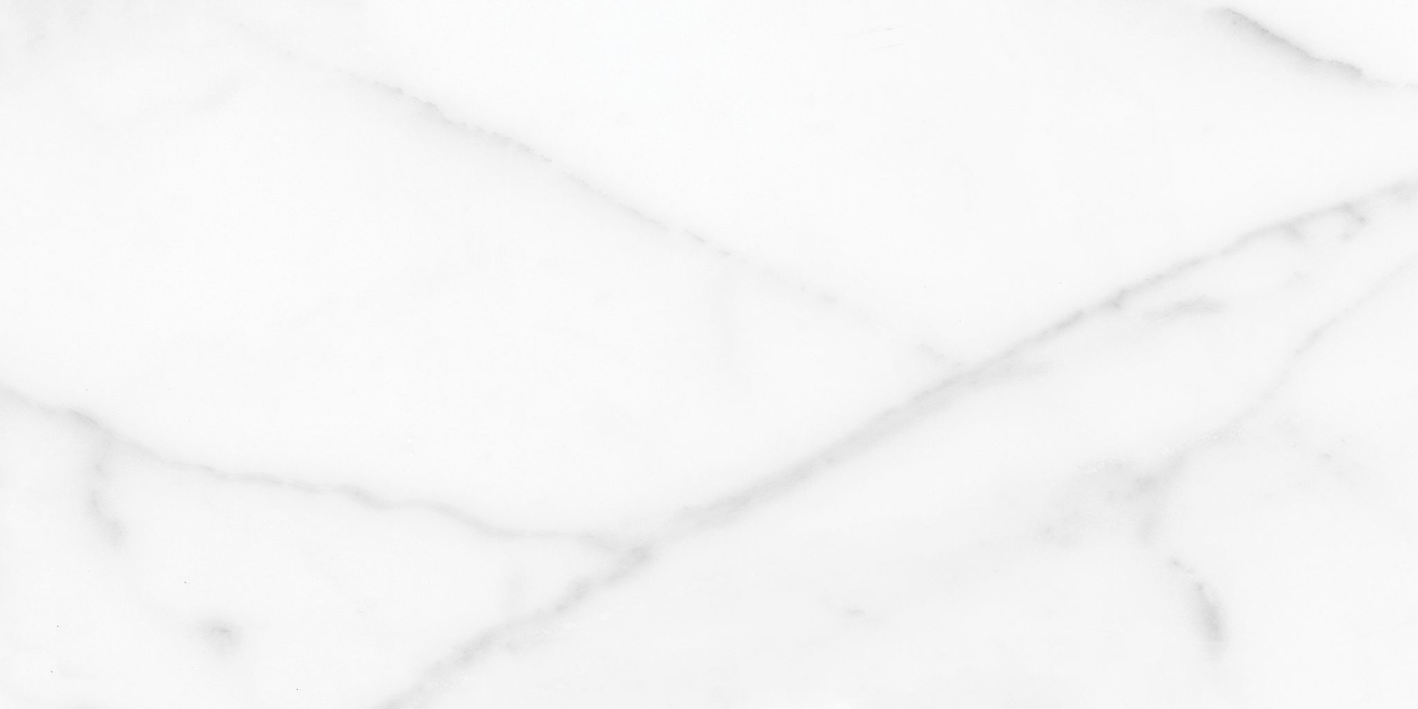 Florence 12X24F Statuario Matte | Aromaz Home