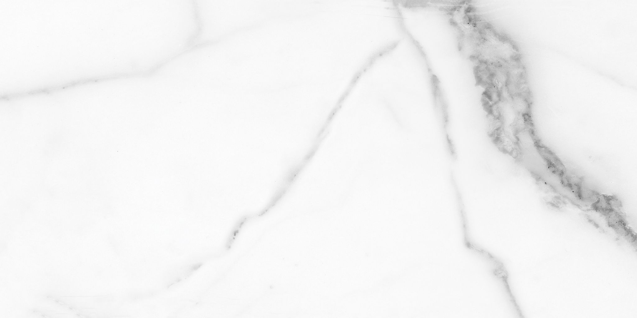 Florence 12X24F Statuario Matte | Aromaz Home