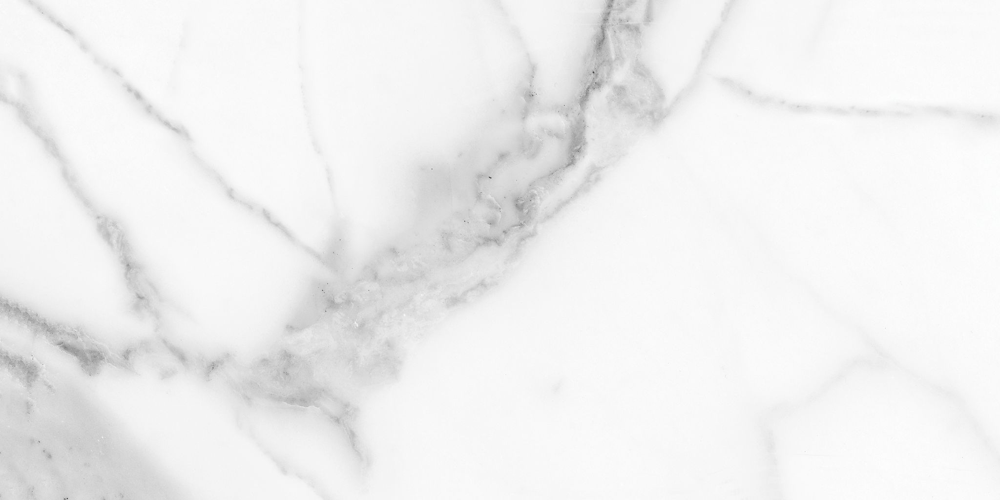 Florence 12X24F Statuario Matte | Aromaz Home