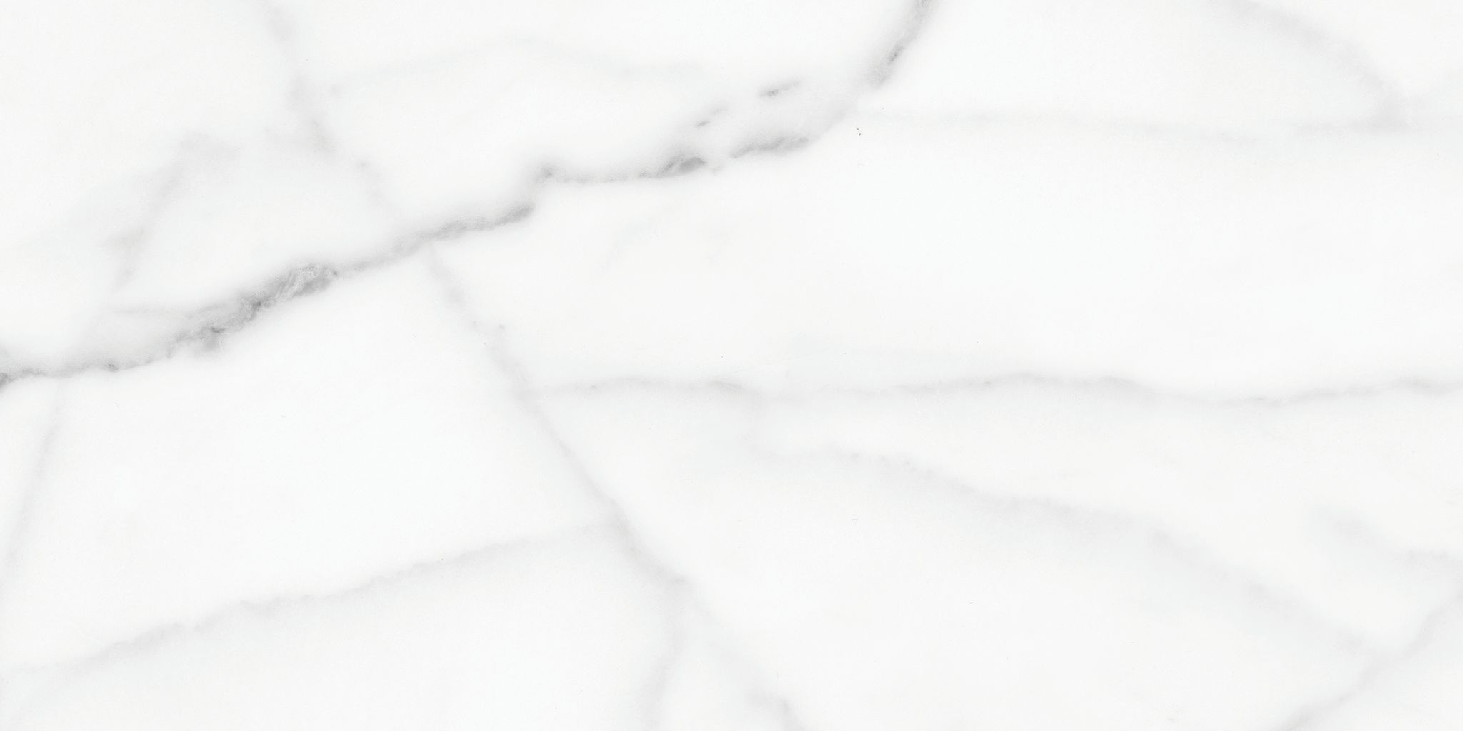 Florence 12X24F Statuario Matte | Aromaz Home