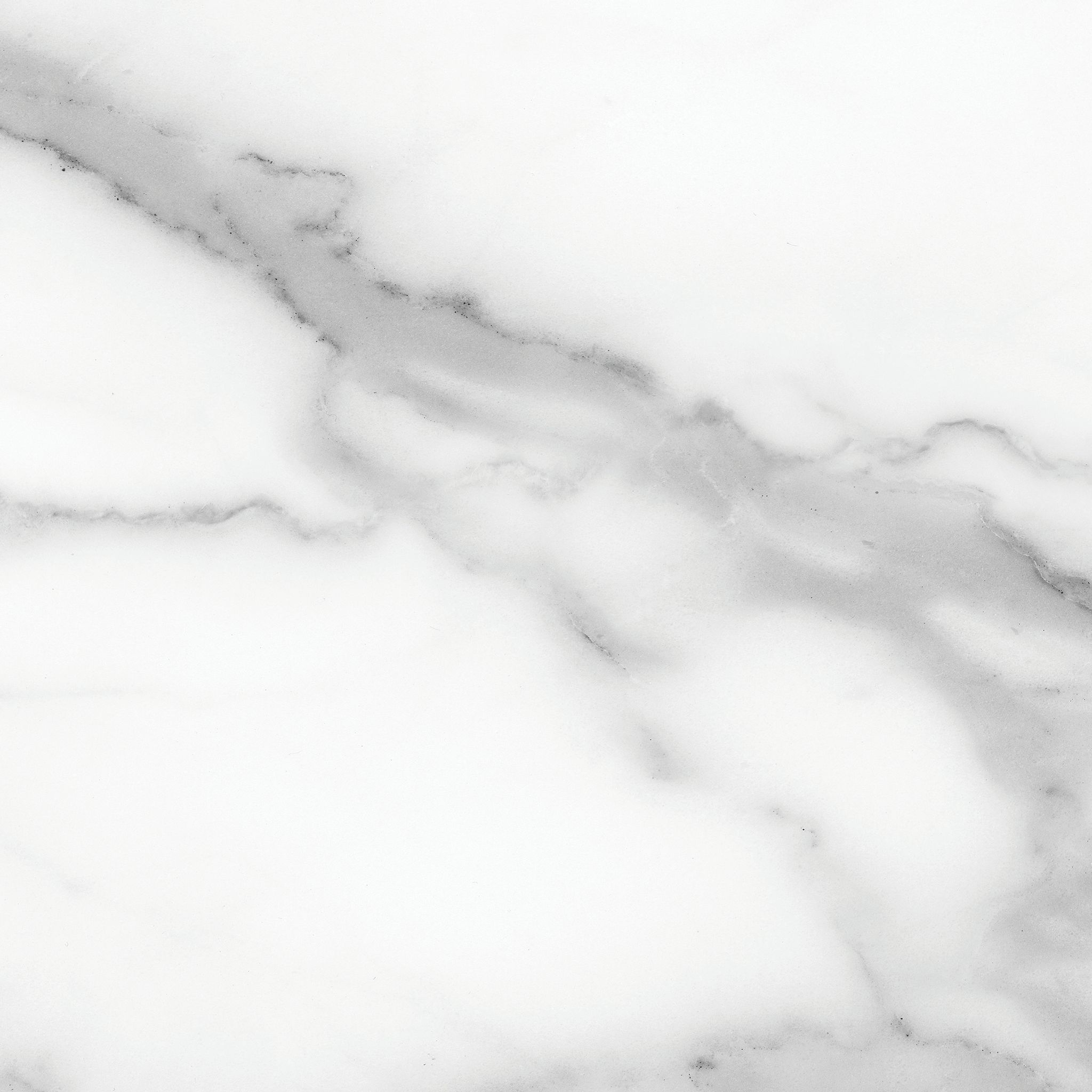 Florence 13X13F Statuario Matte | Aromaz Home