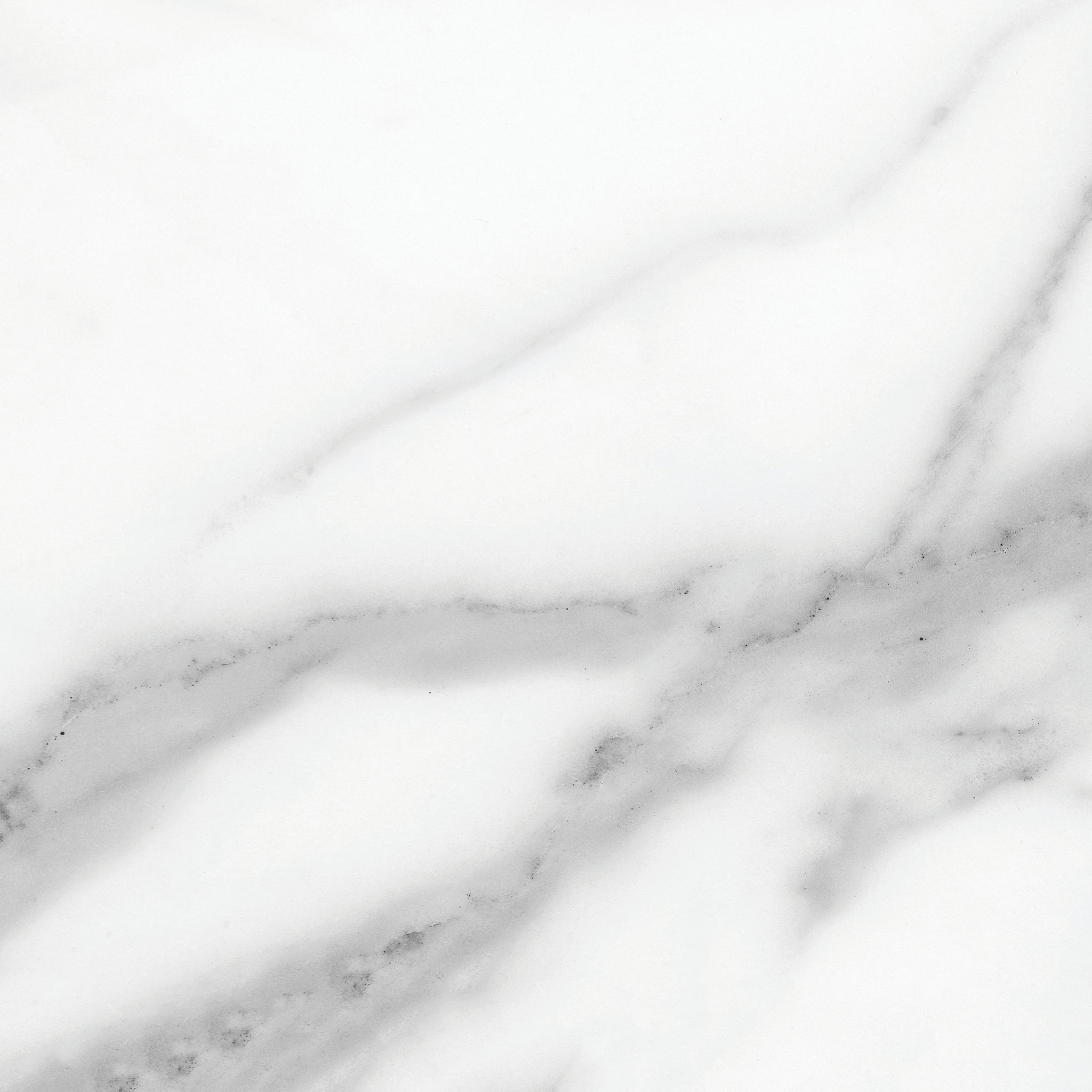 Florence 13X13F Statuario Matte | Aromaz Home