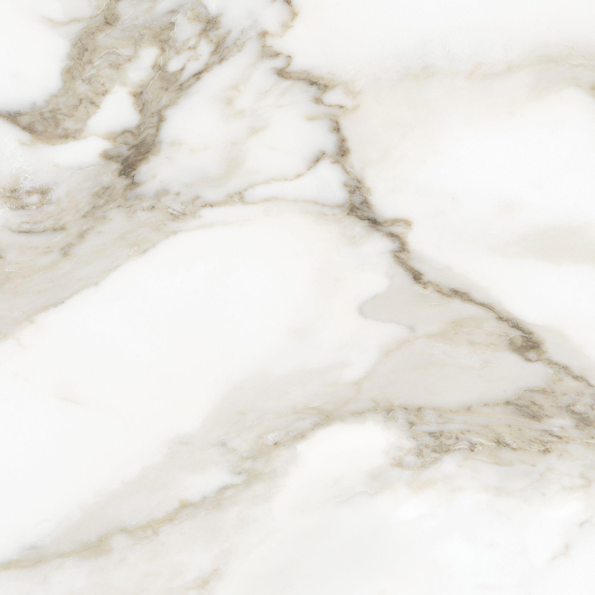 Florence 20X20F Calacatta Matte | Aromaz Home