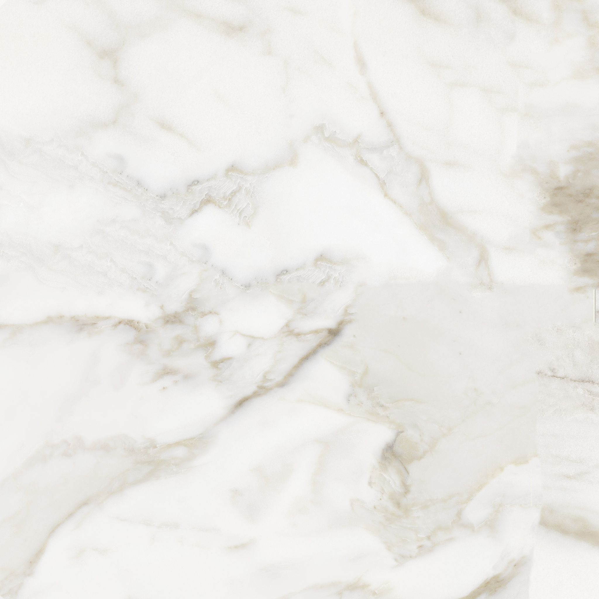 Florence 20X20F Calacatta Matte | Aromaz Home