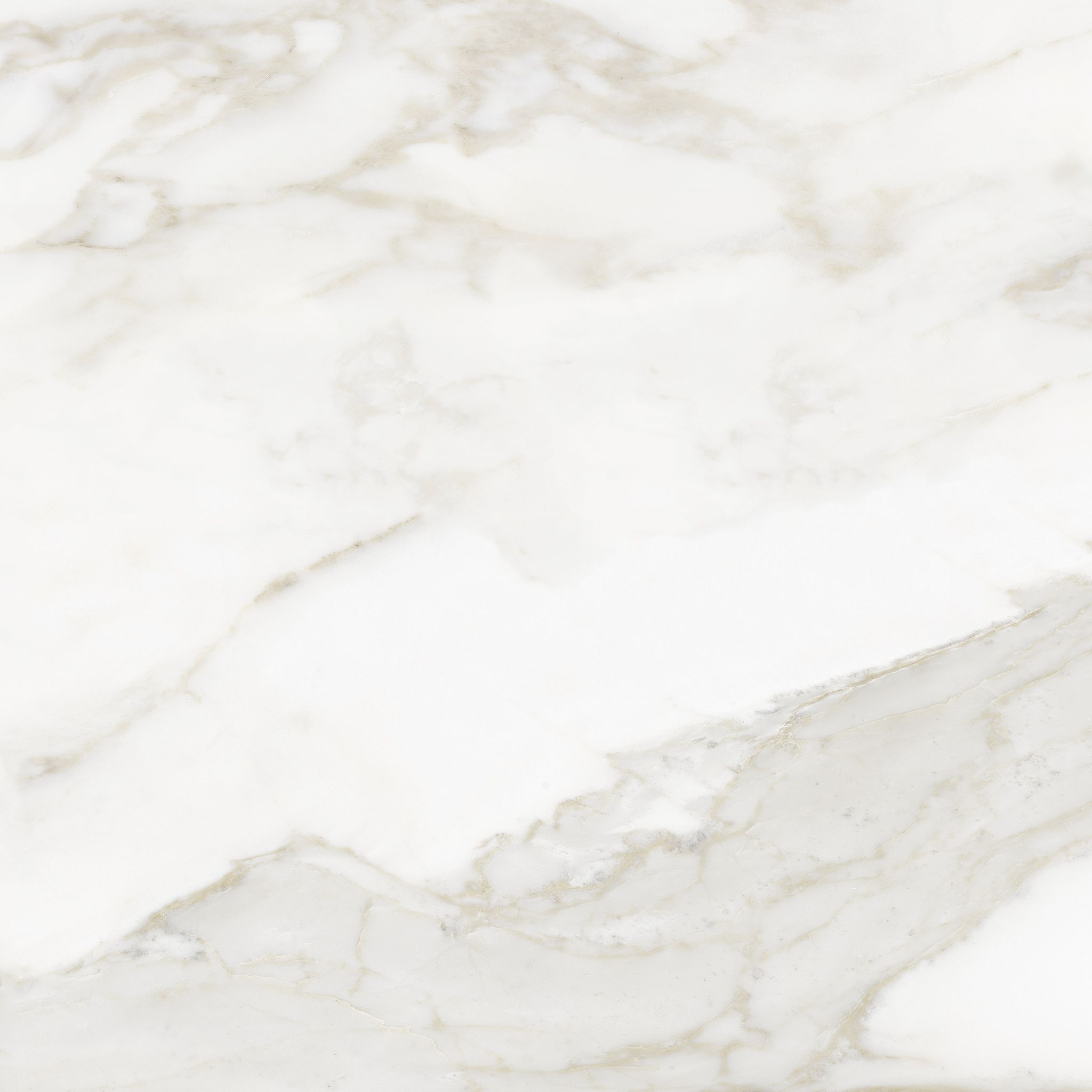 Florence 20X20F Calacatta Matte | Aromaz Home