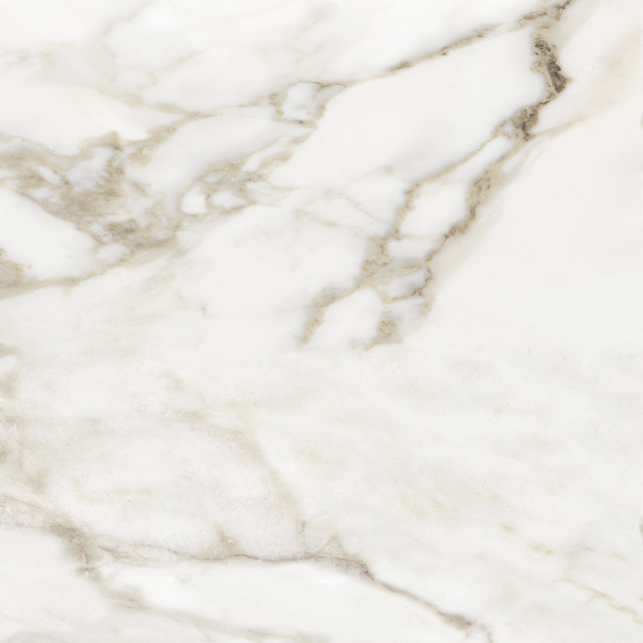 Florence 20X20F Calacatta Matte | Aromaz Home