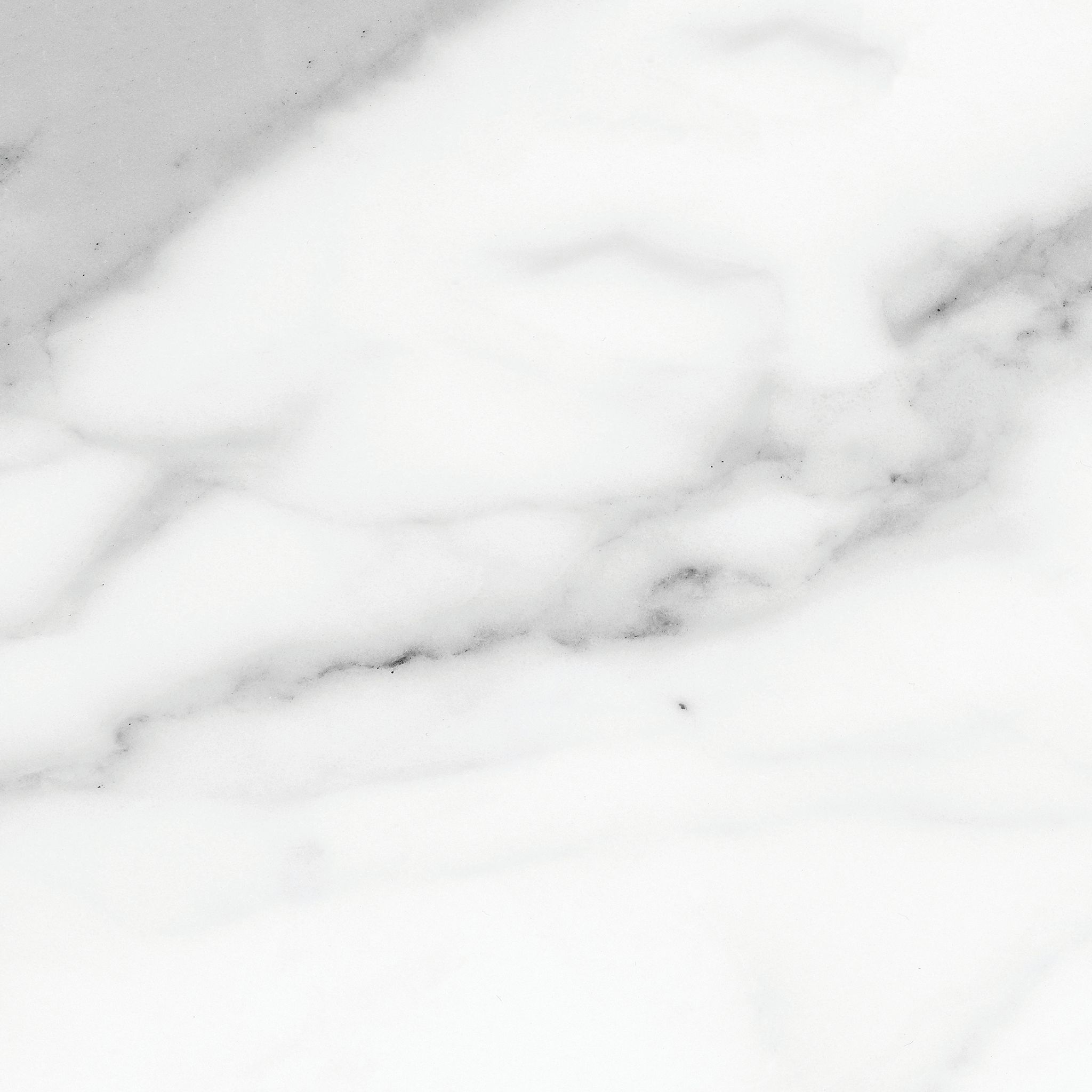 Florence 20X20F Statuario Matte | Aromaz Home