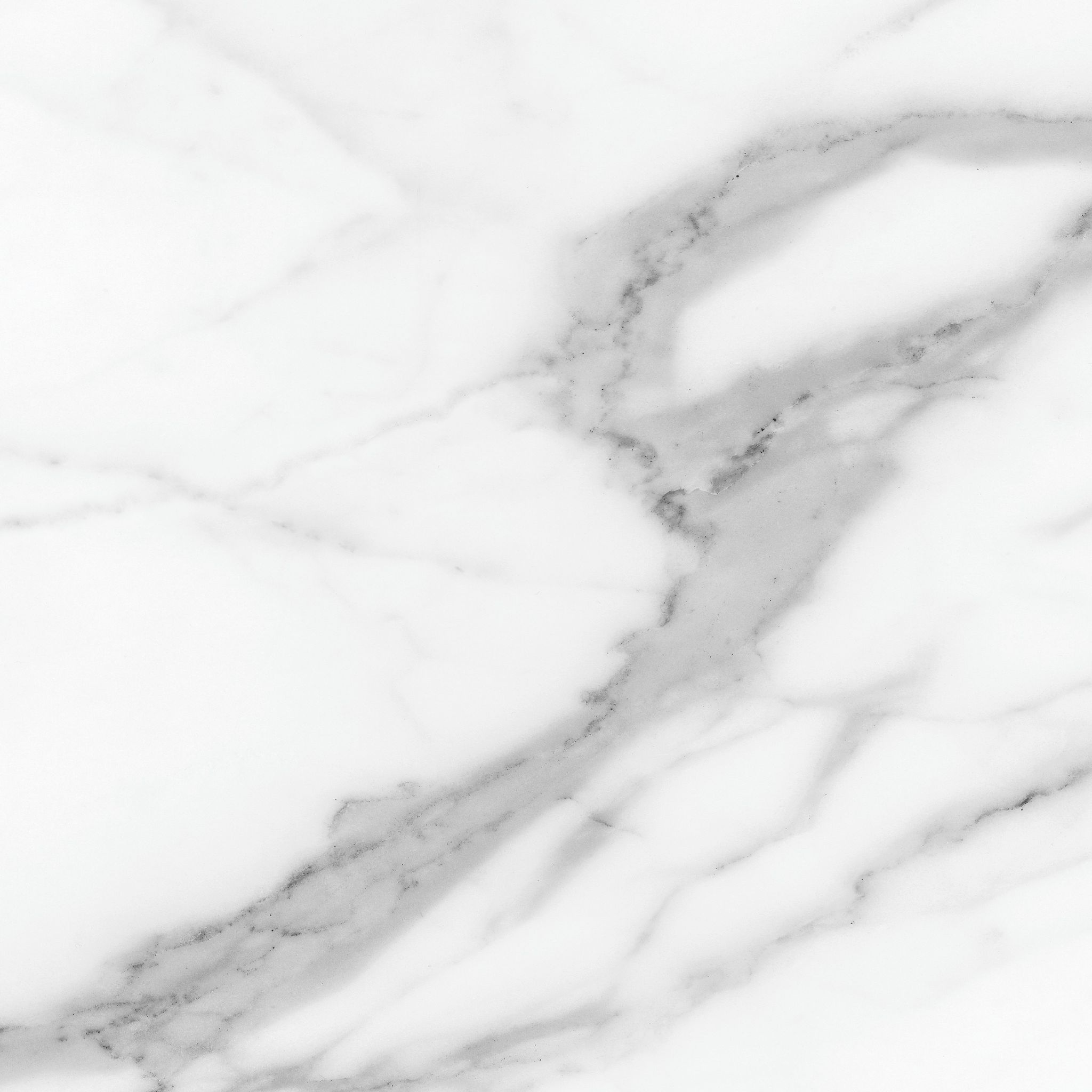 Florence 20X20F Statuario Matte | Aromaz Home