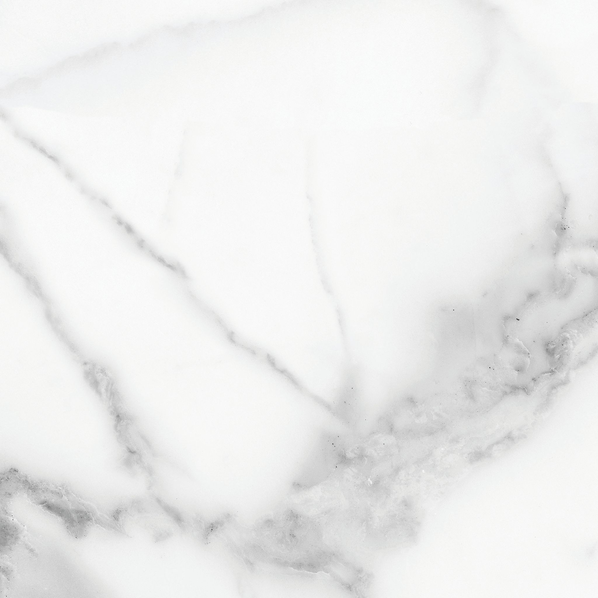 Florence 20X20F Statuario Matte | Aromaz Home