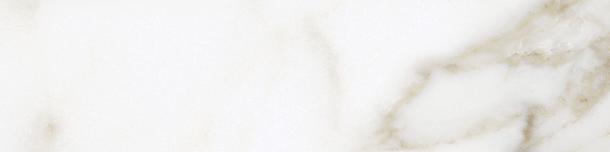 Florence 3x12 Calacatta Matte Bullnose | Aromaz Home