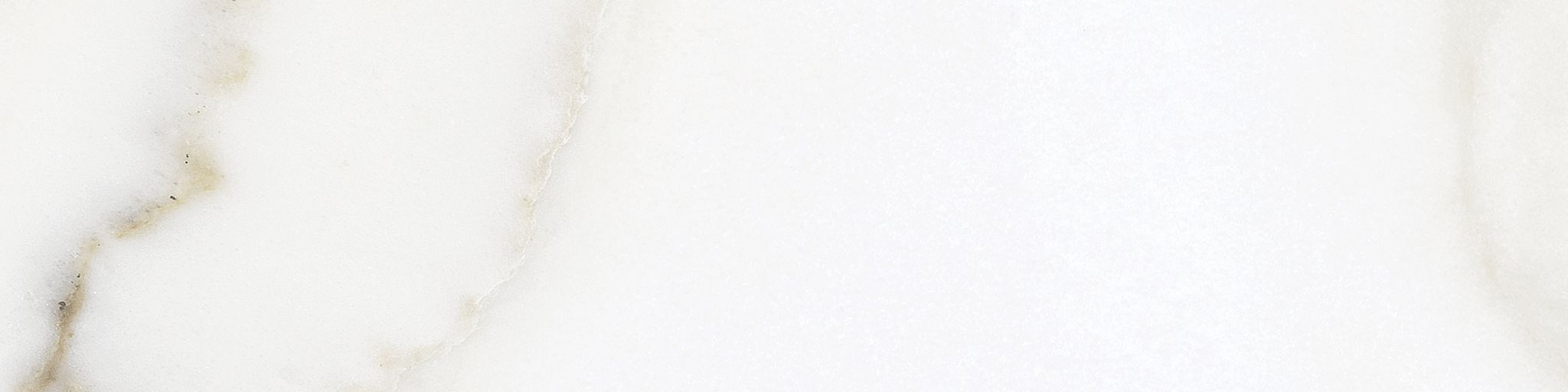 Florence 3x12 Calacatta Matte Bullnose | Aromaz Home