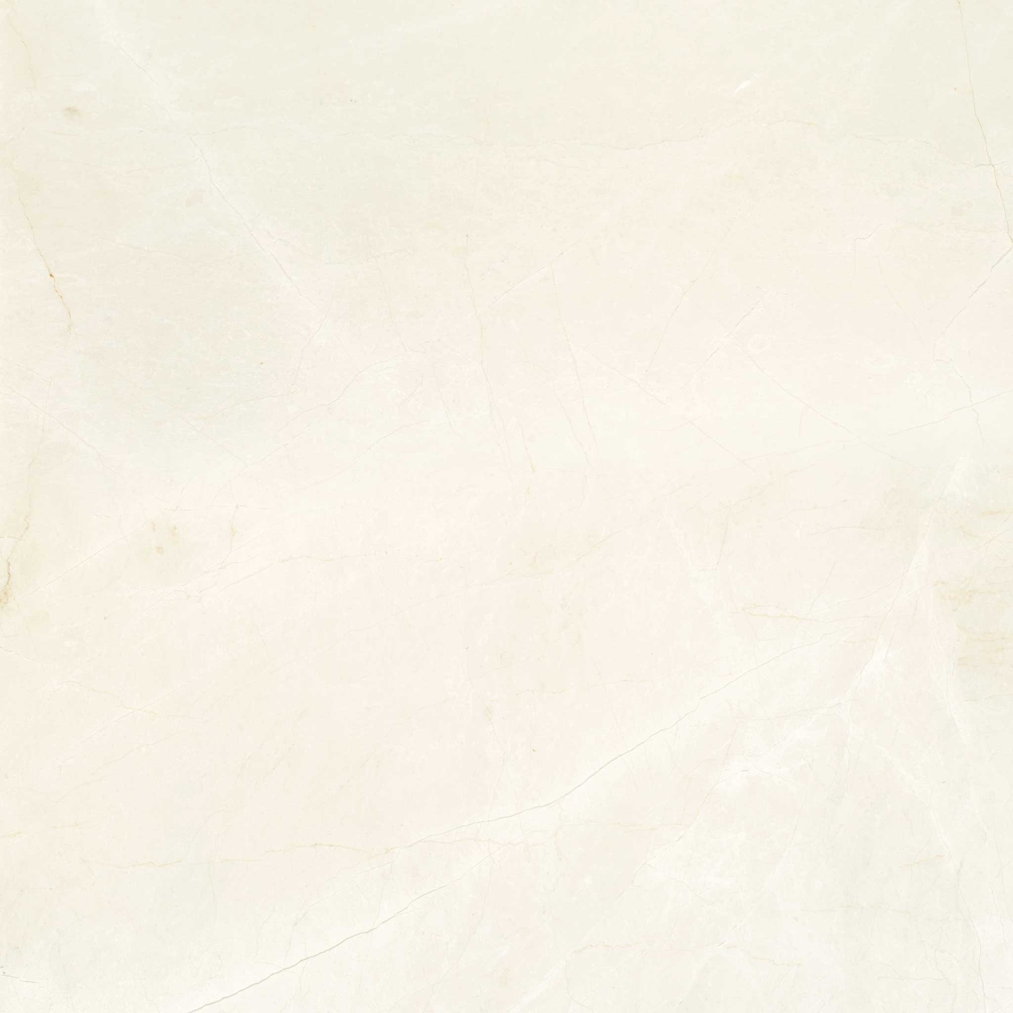Avorio Crema 24x24 | Aromaz Home