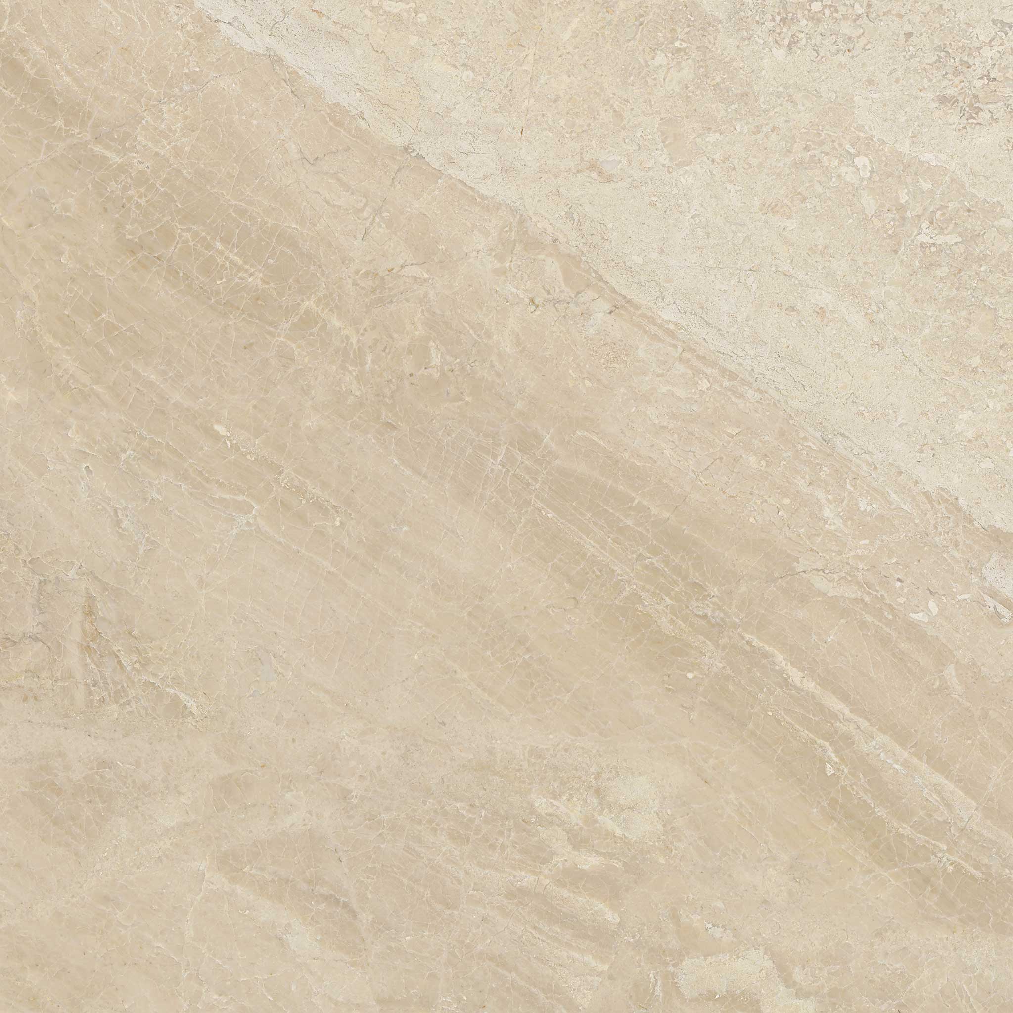 Impero Reale 24x24 Polished | Aromaz Home