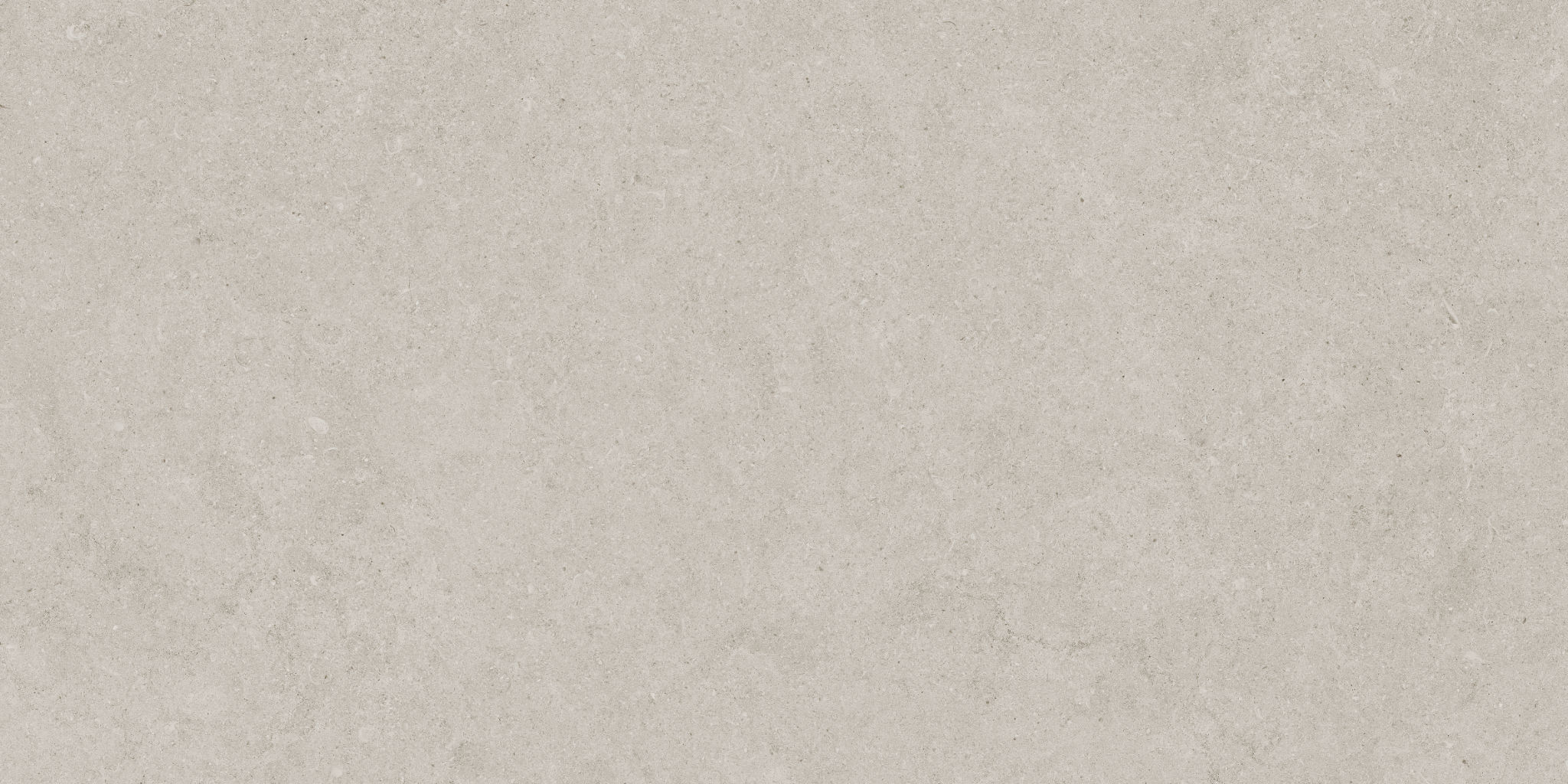 Lithoform 12X24 Crosscut Coast | Aromaz Home
