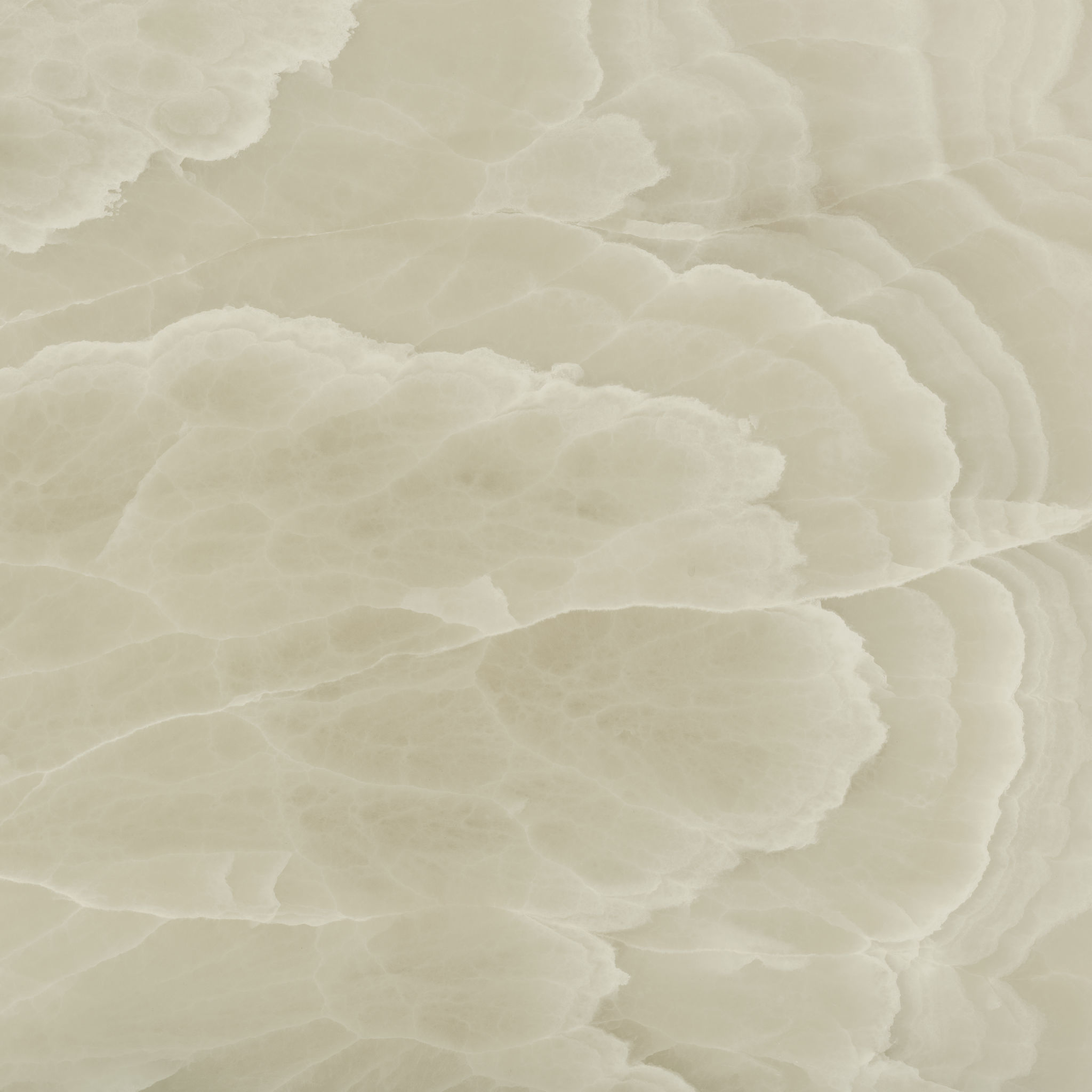 Lustra 48x48 Onyx Hazel Honed | Aromaz Home