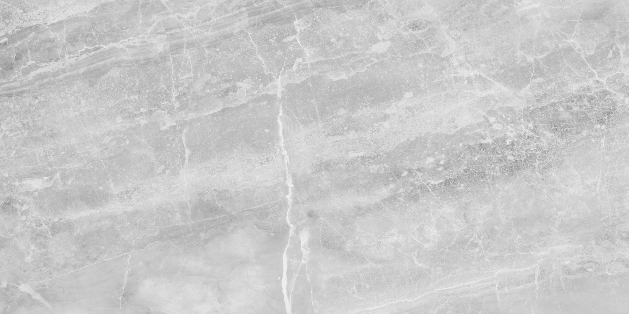 Plata 12x24 Perla Grigia Matte | Aromaz Home