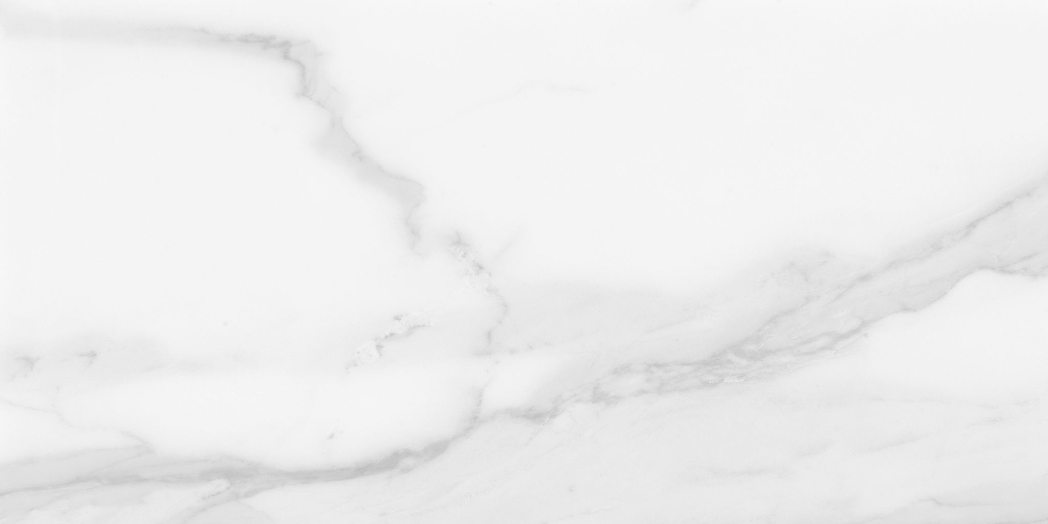 Plata 12x24 Statuario Brina Polished | Aromaz Home