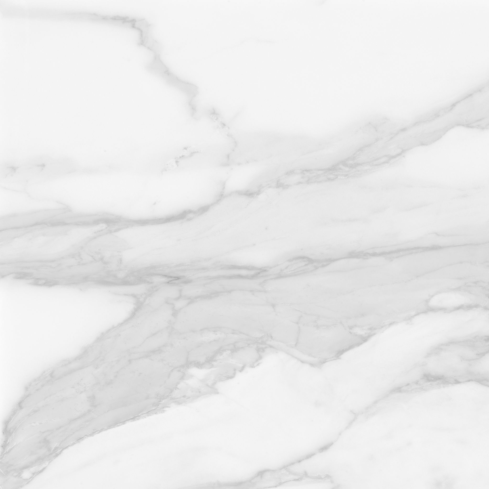 Plata 24x24 Statuario Brina Polished | Aromaz Home