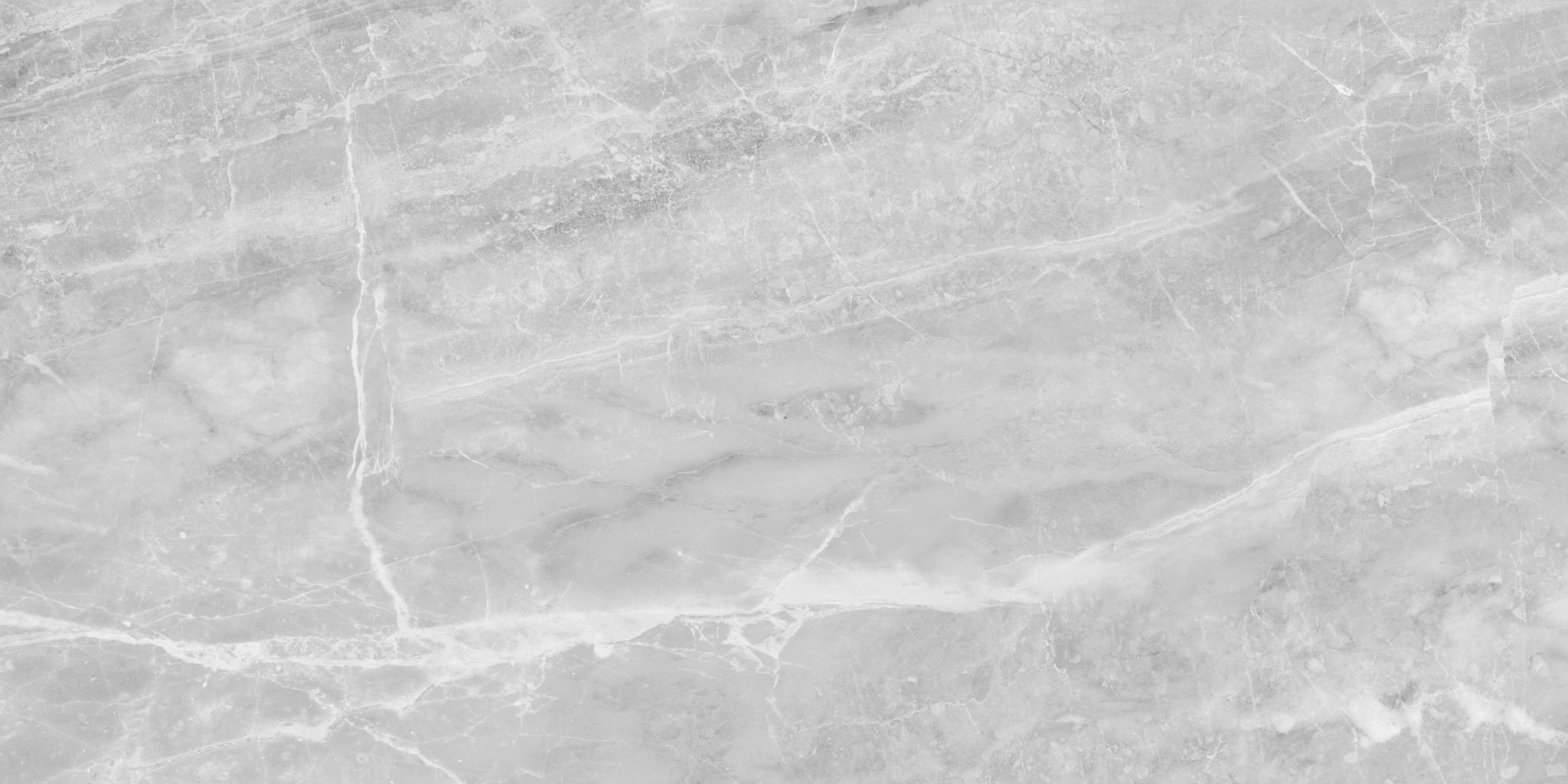 Plata 24x48 Perla Grigia Matte | Aromaz Home