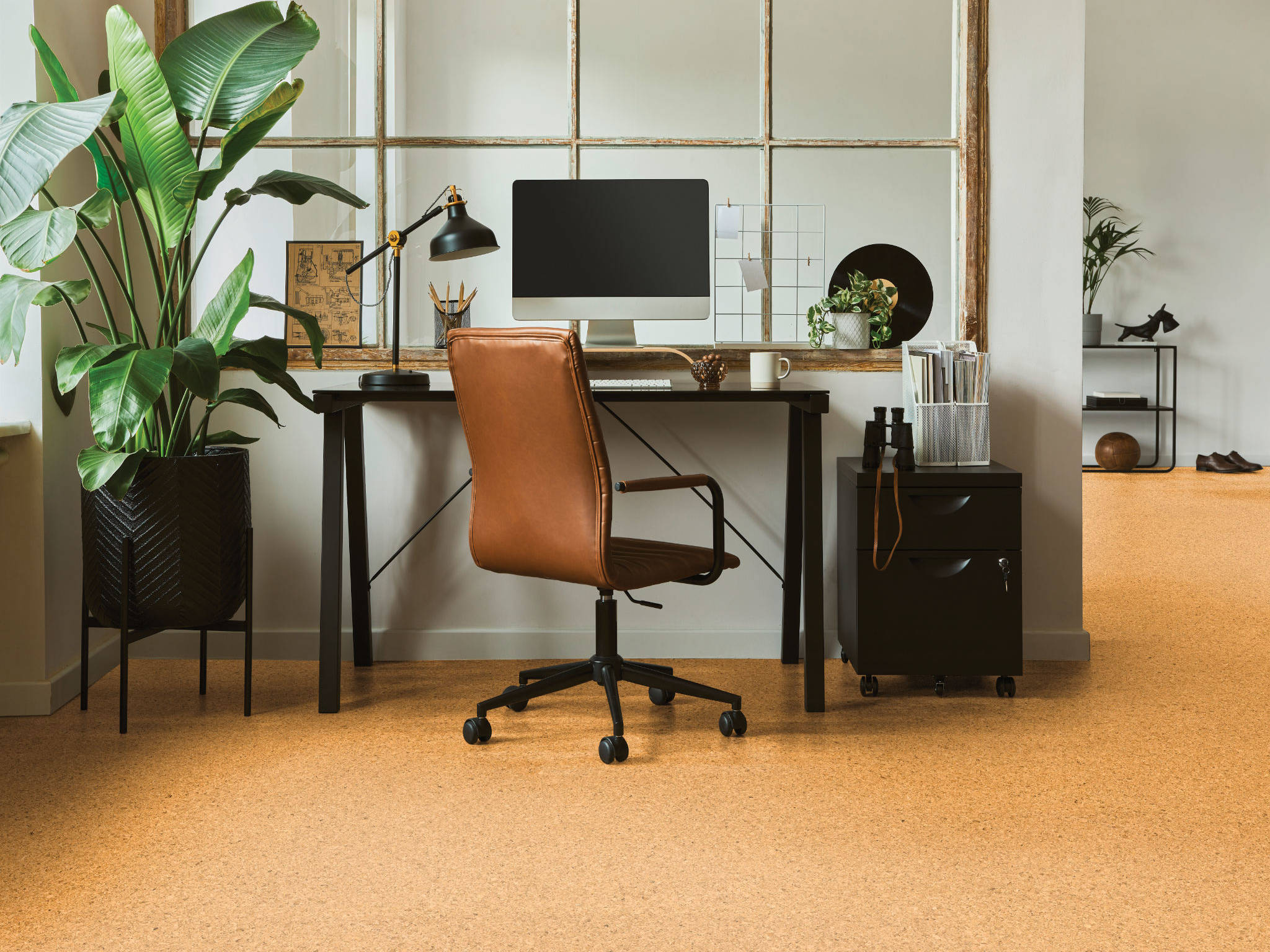 True Earth Cork Click 12 | Aromaz Home